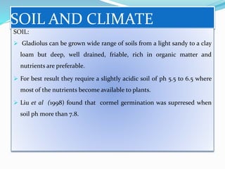SOIL AND CLIMATE
SOIL:
 Gladiolus can be grown wide range of soils from a light sandy to a clay
loam but deep, well drained, friable, rich in organic matter and
nutrients are preferable.
 For best result they require a slightly acidic soil of ph 5.5 to 6.5 where
most of the nutrients become available to plants.
 Liu et al (1998) found that cormel germination was suprresed when
soil ph more than 7.8.
 