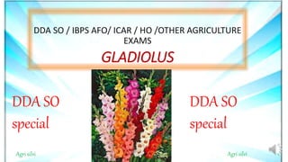 GLADIOLUS
DDA SO / IBPS AFO/ ICAR / HO /OTHER AGRICULTURE
EXAMS
Agri silvi Agri silvi
DDA SO
special
DDA SO
special
 