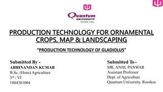 Submitted By -
ABHINANDAN KUMAR
B.Sc. (Hons) Agriculture
3rd / VI
1804301004
Submitted To -
MR. ANJIL PANWAR
Assistant Professor
Dept. of Agriculture
Quantum University, Roorkee
“PRODUCTION TECHNOLOGY OF GLADIOLUS”
PRODUCTION TECHNOLOGY FOR ORNAMENTAL
CROPS, MAP & LANDSCAPING
 