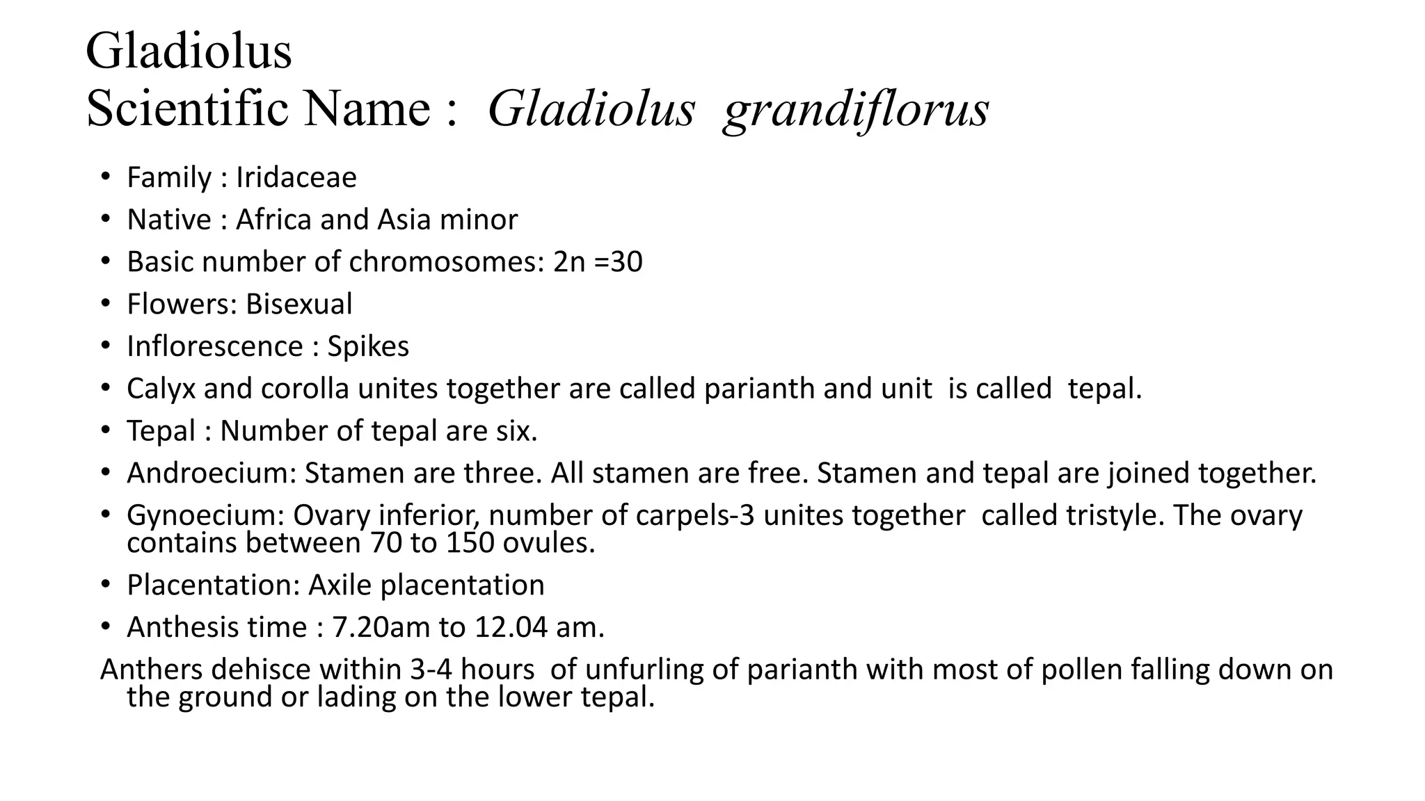 A full proof notes on Gladiolus and Gerbera.pptx