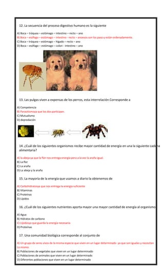 

12. La secuencia del proceso digestivo humano es la siguiente
A) Boca – tráquea – estómago – intestino – recto – ano
B) Boca – esófago – estómago – intestino - recto – anoesos son los paso y están ordenadamente.
C) Boca – tráquea – estómago – hígado – recto – ano
D) Boca – esófago – estómago – colon - intestino – ano



13. Las pulgas viven a expensas de los perros, esta interrelación Corresponde a
A) Competencia
B) Parasitismoya que los dos participan.
C) Mutualismo
D) depredación



14. ¿Cuál de los siguientes organismos recibe mayor cantidad de energía en una la siguiente cadena
alimentaria?
A) la abeja ya que la flor nos entrega energía pero a la vez la araña igual.
B) La flor
C) La araña
D) La abeja y la araña



15. La mayoría de la energía que usamos a diario la obtenemos de
A) Carbohidratosya que nos entrega la energía suficiente
B) Vitaminas
C) Proteínas
D) Lípidos



16. ¿Cuál de los siguientes nutrientes aporta mayor una mayor cantidad de energía al organismo?
A) Agua
B) Hidratos de carbono
C) Lípidosya que guarda la energía necesaria.
D) Proteínas



17. Una comunidad biológica corresponde al conjunto de
A) Un grupo de seres vivos de la misma especie que viven en un lugar determinado ya que son iguales y necesitan
Lo mismo.
B) Poblaciones de vegetales que viven en un lugar determinado
C) Poblaciones de animales que viven en un lugar determinado
D) Diferentes poblaciones que viven en un lugar determinado

 