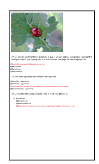 

27. Las chinitas se alimentan de pulgones, lo que es un gran aporte, pues gracias a este control
biológico se evita que los pulgones se transformen en una plaga. Este es un ejemplo de
A) Depredación ya que trata de comerse al otro
B) Mutualismo
C) Parasitismo
D) Competencia



28. Una de las siguientes relaciones no corresponde
A) Proteínas - reparadores
B) Vitaminas - reguladores
C) Carbohidratos - energía de reservaya que los carbohidratos guarda la energía.
D) Sales minerales - reguladores



29. La interrelación que se presenta entre el zorro y las gallinas es
A) Mutualismo
B) Competencia
C) Protocooperación
D) Depredación ya que el zorro se come a la gallina para poder alimentarse y vivir

1D -2B – 3 A – 4 B – 5 C - 6 A - 7 C - 8 C - 9D 10 A
11 D - 12 B – 13 B - 14 A – 15 A - 16 C - 17 D - 18 D - 19 D - 20 A
21 D – 22D – 23 A - 24 C - 25 D – 26 C - 27 A – 28 C - 29 D

 