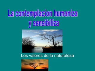 Los valores de la naturaleza La contemplacion humaniza y sensibiliza 
