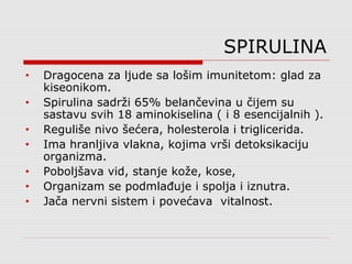 SPIRULINA
• Dragocena za ljude sa lošim imunitetom: glad za
kiseonikom.
• Spirulina sadrži 65% belančevina u čijem su
sastavu svih 18 aminokiselina ( i 8 esencijalnih ).
• Reguliše nivo šećera, holesterola i triglicerida.
• Ima hranljiva vlakna, kojima vrši detoksikaciju
organizma.
• Poboljšava vid, stanje kože, kose,
• Organizam se podmlađuje i spolja i iznutra.
• Jača nervni sistem i povećava vitalnost.
 