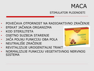 MACA
STIMULATOR PLODNOSTI
• POVEĆAVA OTPORNOST NA RADIOAKTIVNO ZRAČENJE
• EFEKAT JAČANJA ORGANIZMA
• KOD STERILITETA
• OSETNO SUZBIJA STARENJE
• JAČA POLNU FUNKCIJU OBA POLA
• NEUTRALIŠE ZRAČENJE
• REVITALIZUJE UROGENITALNI TRAKT
• NORMALIZUJE FUNKCIJU VEGETATIVNOG NERVNOG
SISTEMA
 
