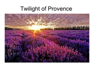Twilight of Provence   