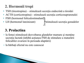 TSH (tireotropina) – stimulează secreţia endocrină a tiroidei ACTH (corticotropina) - stimulează secreţia corticosuprarenalei FSH (hormonul foliculostimulant) LH (hormonul luteinizant)   stimulează secreţia gonadelor  3. Prolactina la femei stimulează dezvoltarea glandelor mamare şi menţine secreţia lactată (inhibă acţiunea FSH de stimulare a maturării foliculilor ovarieni în perioada alaptării) la bărbaţi efectul nu este cunoscut 
