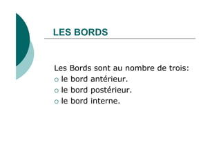 LES BORDS