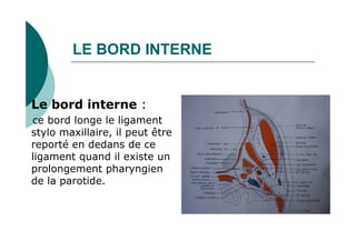 LE BORD INTERNE
