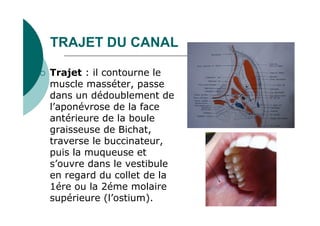 TRAJET DU CANAL