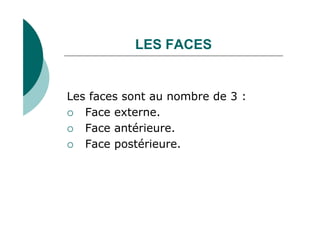 LES FACES