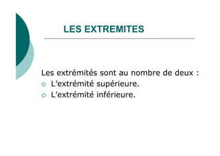 LES EXTREMITES