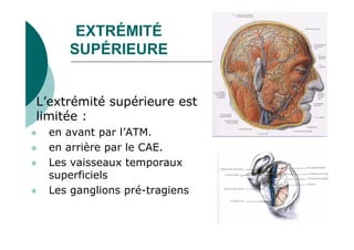 EXTRÉMITÉ
SUPÉRIEURE