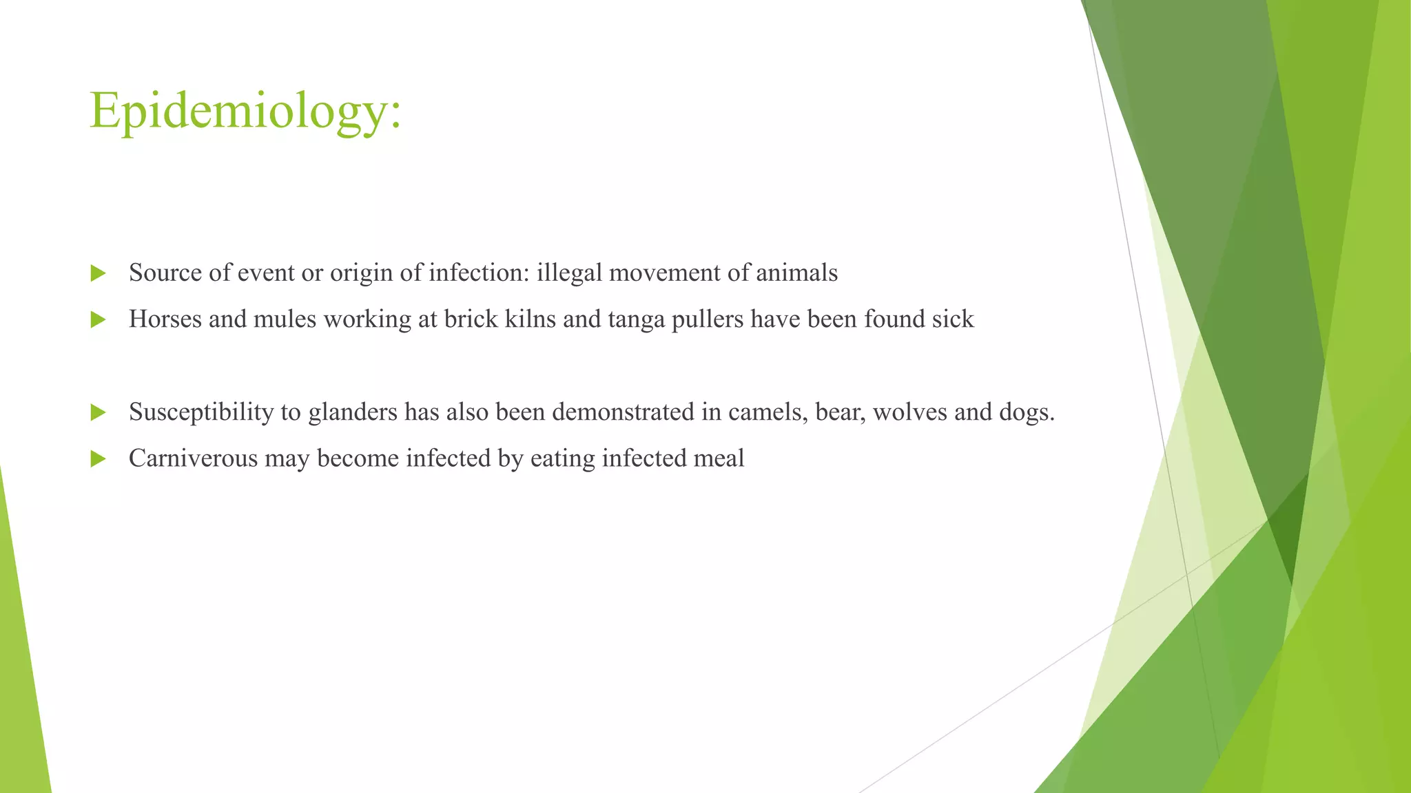 Epidemiology:
 Source of event or origin of infection: illegal movement of animals
 Horses and mules working at brick kilns and tanga pullers have been found sick
 Susceptibility to glanders has also been demonstrated in camels, bear, wolves and dogs.
 Carniverous may become infected by eating infected meal
 