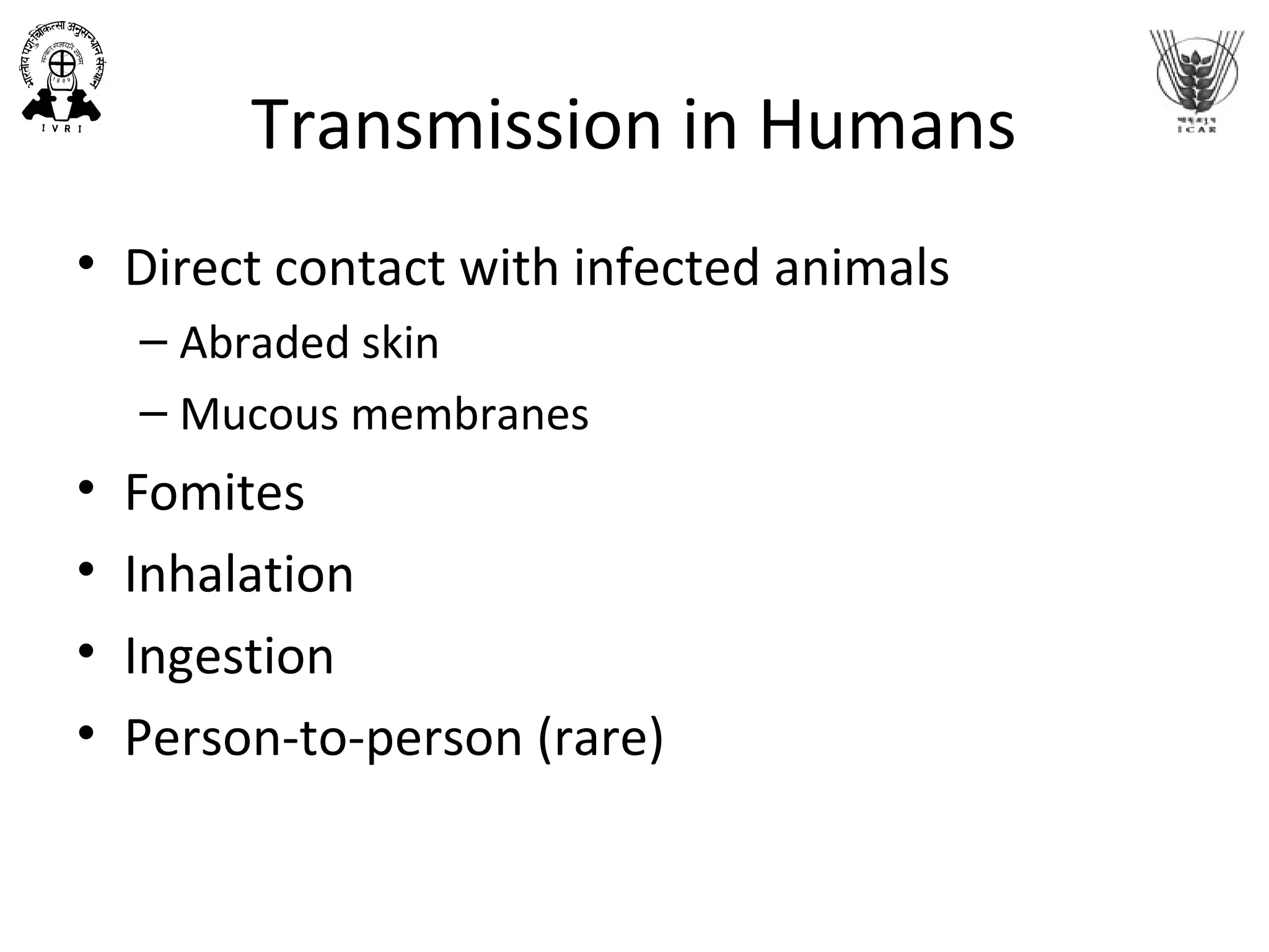 Transmission in Humans
• Direct contact with infected animals
– Abraded skin
– Mucous membranes
• Fomites
• Inhalation
• Ingestion
• Person-to-person (rare)
 