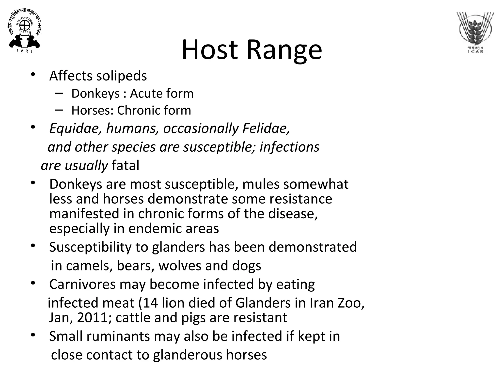 Host Range
• Affects solipeds
– Donkeys : Acute form
– Horses: Chronic form
• Equidae, humans, occasionally Felidae,
and other species are susceptible; infections
are usually fatal
• Donkeys are most susceptible, mules somewhat
less and horses demonstrate some resistance
manifested in chronic forms of the disease,
especially in endemic areas
• Susceptibility to glanders has been demonstrated
in camels, bears, wolves and dogs
• Carnivores may become infected by eating
infected meat (14 lion died of Glanders in Iran Zoo,
Jan, 2011; cattle and pigs are resistant
• Small ruminants may also be infected if kept in
close contact to glanderous horses
 