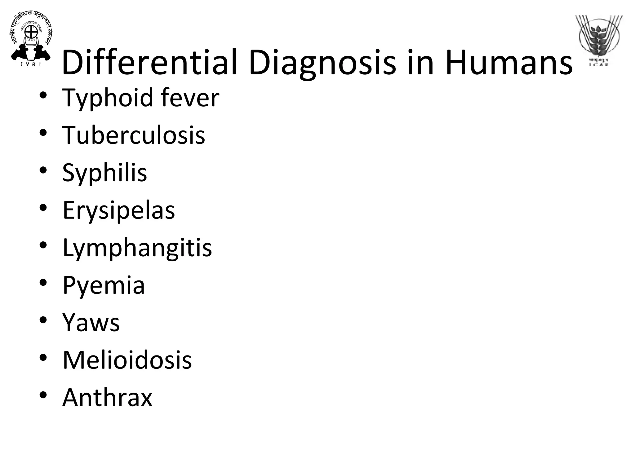 Differential Diagnosis in Humans
• Typhoid fever
• Tuberculosis
• Syphilis
• Erysipelas
• Lymphangitis
• Pyemia
• Yaws
• Melioidosis
• Anthrax
 