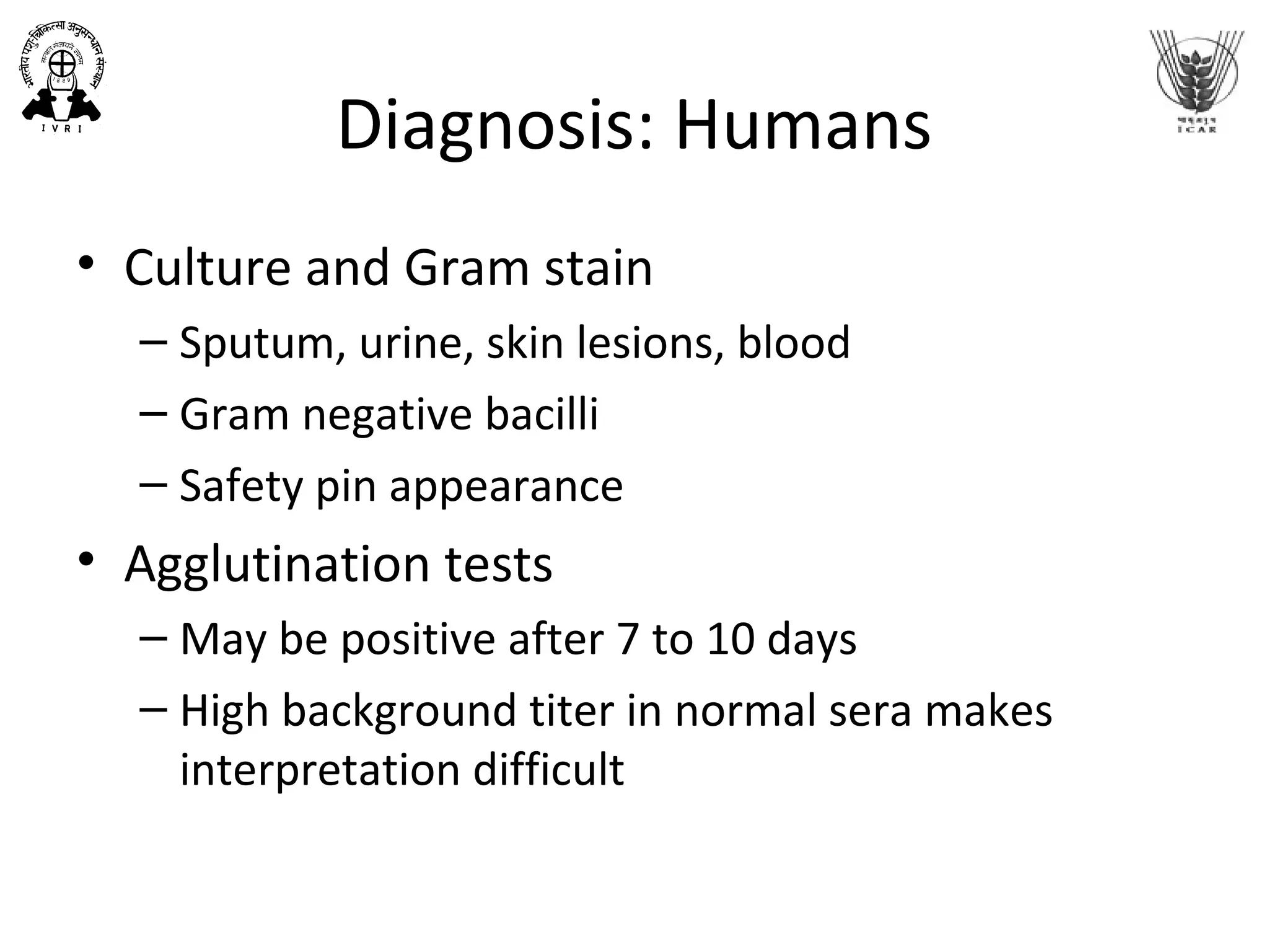 Diagnosis: Humans
• Culture and Gram stain
– Sputum, urine, skin lesions, blood
– Gram negative bacilli
– Safety pin appearance
• Agglutination tests
– May be positive after 7 to 10 days
– High background titer in normal sera makes
interpretation difficult
 