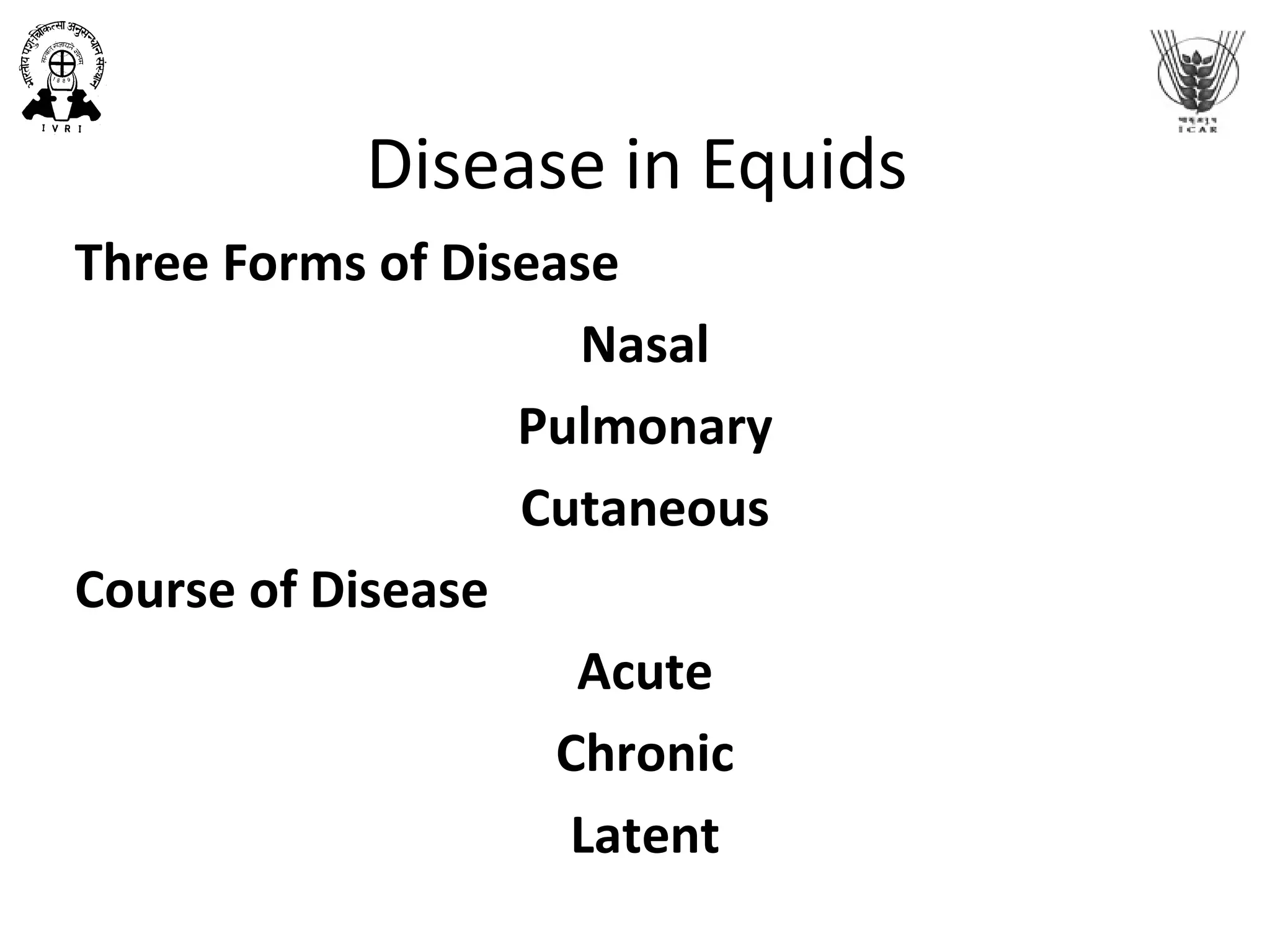Disease in Equids
Three Forms of Disease
Nasal
Pulmonary
Cutaneous
Course of Disease
Acute
Chronic
Latent
 