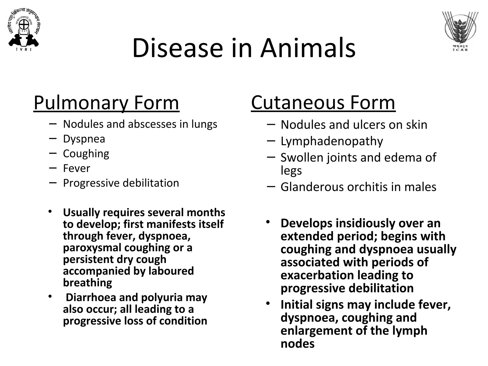 Disease in Animals
Pulmonary Form
− Nodules and abscesses in lungs
− Dyspnea
− Coughing
− Fever
− Progressive debilitation
• Usually requires several months
to develop; first manifests itself
through fever, dyspnoea,
paroxysmal coughing or a
persistent dry cough
accompanied by laboured
breathing
• Diarrhoea and polyuria may
also occur; all leading to a
progressive loss of condition
Cutaneous Form
− Nodules and ulcers on skin
− Lymphadenopathy
− Swollen joints and edema of
legs
− Glanderous orchitis in males
• Develops insidiously over an
extended period; begins with
coughing and dyspnoea usually
associated with periods of
exacerbation leading to
progressive debilitation
• Initial signs may include fever,
dyspnoea, coughing and
enlargement of the lymph
nodes
 