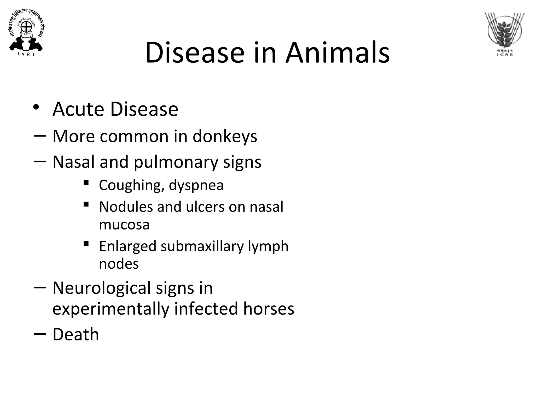 Disease in Animals
• Acute Disease
− More common in donkeys
− Nasal and pulmonary signs
 Coughing, dyspnea
 Nodules and ulcers on nasal
mucosa
 Enlarged submaxillary lymph
nodes
− Neurological signs in
experimentally infected horses
− Death
 