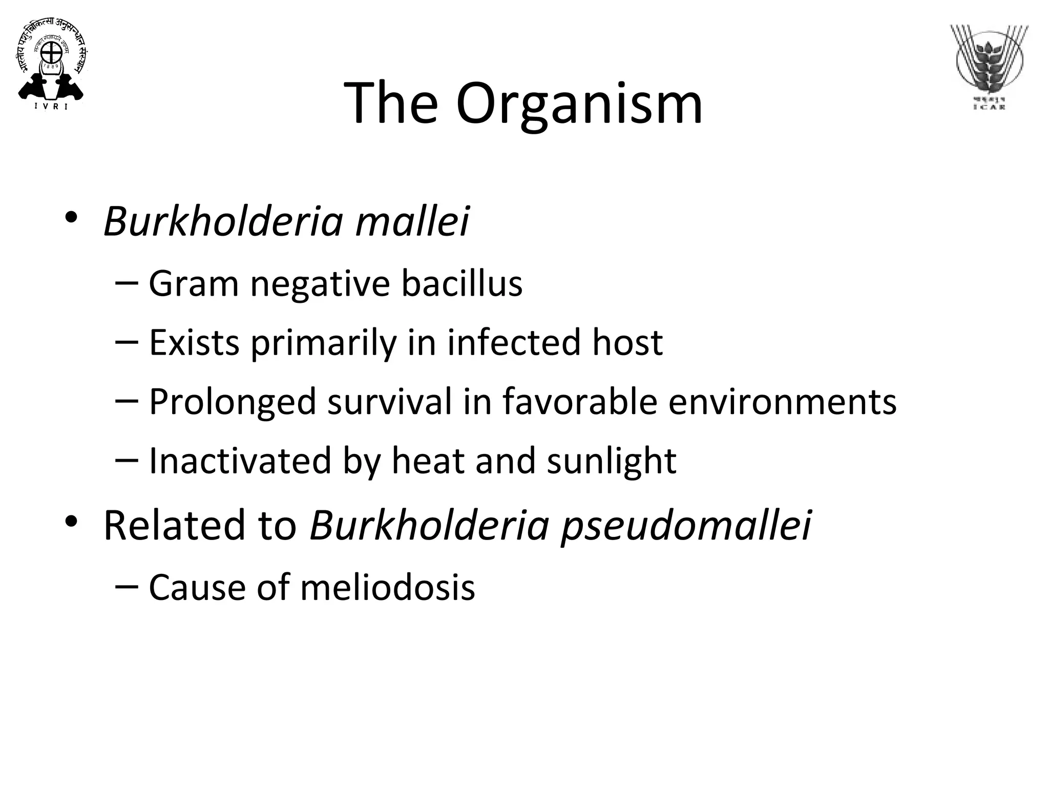 The Organism
• Burkholderia mallei
– Gram negative bacillus
– Exists primarily in infected host
– Prolonged survival in favorable environments
– Inactivated by heat and sunlight
• Related to Burkholderia pseudomallei
– Cause of meliodosis
 