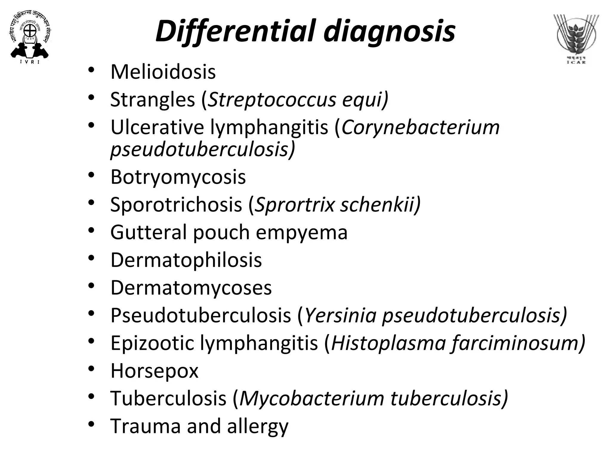 Differential diagnosis
• Melioidosis
• Strangles (Streptococcus equi)
• Ulcerative lymphangitis (Corynebacterium
pseudotuberculosis)
• Botryomycosis
• Sporotrichosis (Sprortrix schenkii)
• Gutteral pouch empyema
• Dermatophilosis
• Dermatomycoses
• Pseudotuberculosis (Yersinia pseudotuberculosis)
• Epizootic lymphangitis (Histoplasma farciminosum)
• Horsepox
• Tuberculosis (Mycobacterium tuberculosis)
• Trauma and allergy
 