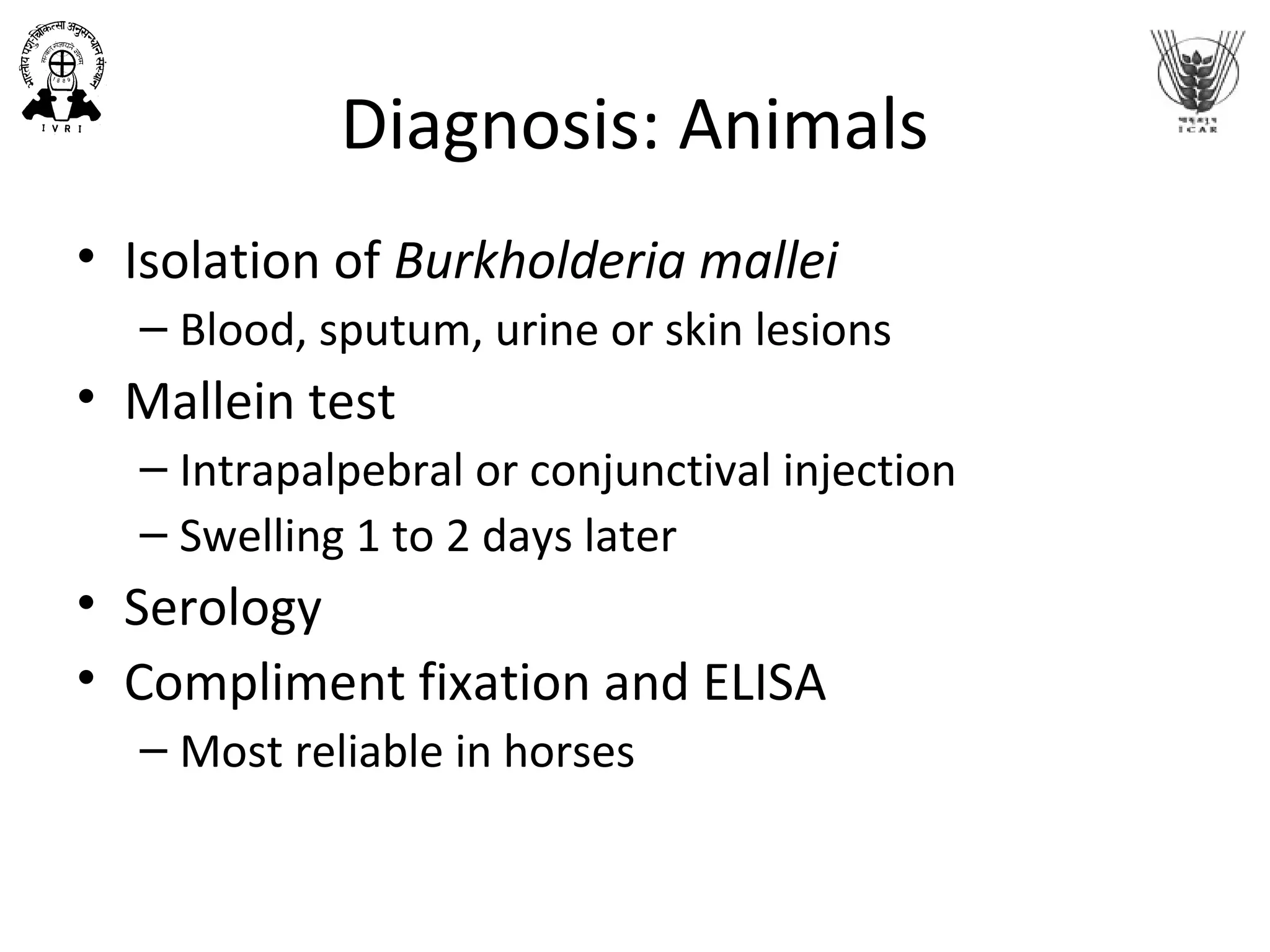 Diagnosis: Animals
• Isolation of Burkholderia mallei
– Blood, sputum, urine or skin lesions
• Mallein test
– Intrapalpebral or conjunctival injection
– Swelling 1 to 2 days later
• Serology
• Compliment fixation and ELISA
– Most reliable in horses
 