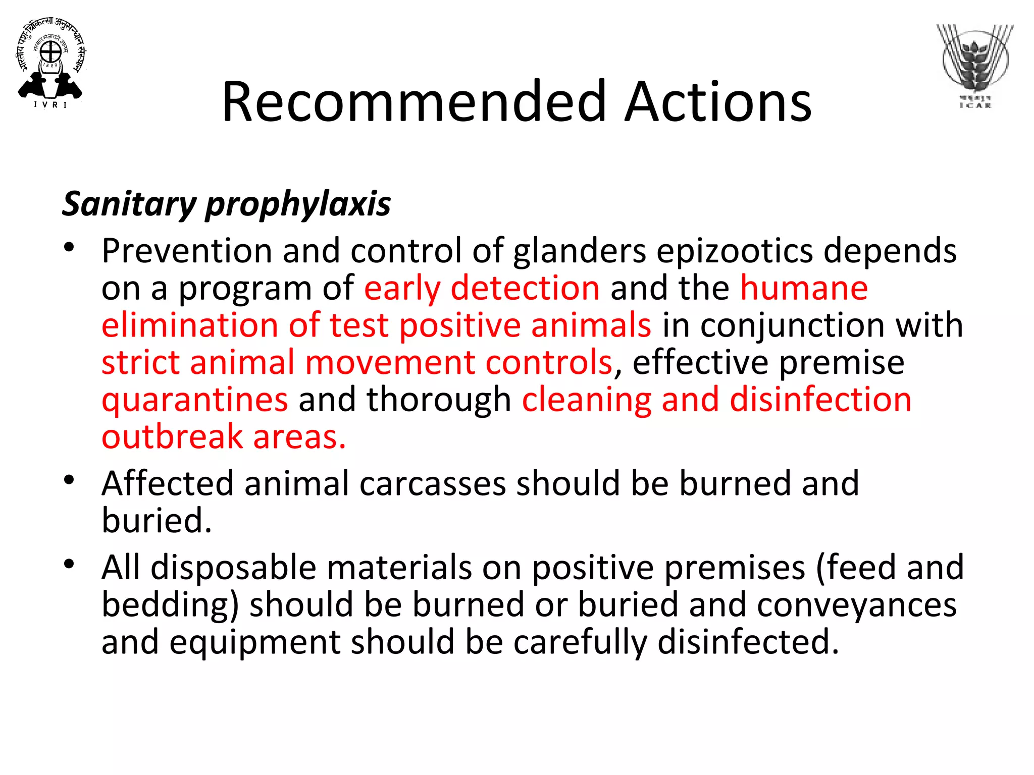 Recommended Actions
Sanitary prophylaxis
• Prevention and control of glanders epizootics depends
on a program of early detection and the humane
elimination of test positive animals in conjunction with
strict animal movement controls, effective premise
quarantines and thorough cleaning and disinfection
outbreak areas.
• Affected animal carcasses should be burned and
buried.
• All disposable materials on positive premises (feed and
bedding) should be burned or buried and conveyances
and equipment should be carefully disinfected.
 