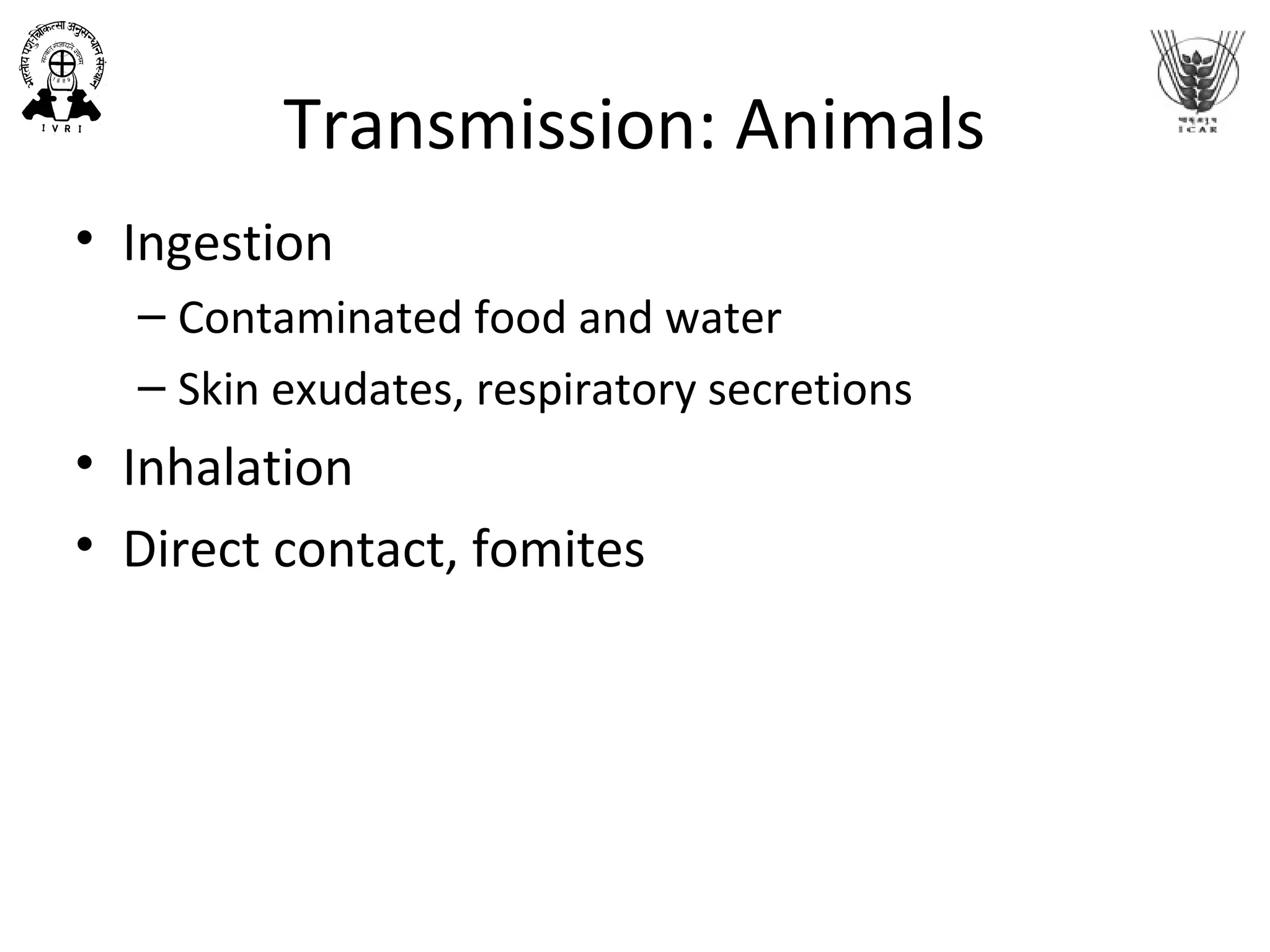 Transmission: Animals
• Ingestion
– Contaminated food and water
– Skin exudates, respiratory secretions
• Inhalation
• Direct contact, fomites
 