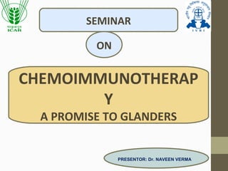 Presenter: Naveen Verma
SEMINAR
ON
CHEMOIMMUNOTHERAP
Y
A PROMISE TO GLANDERS
PRESENTOR: Dr. NAVEEN VERMA
 