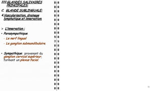 III.GLANDES SALIVAIRES
PRINCIPALES:
C. GLANDE SUBLINGUALE:
4.Vascularisation, drainage
lymphatique et innervation:
Ø L’innervation :
• Parasympathique:
- Le nerf lingual
- Le ganglion submandibulaire.
• Sympathique: provenant du
ganglion cervical supérieur,
formant un plexus facial.
36
36
36
36
 