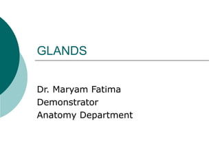 GLANDS Dr. Maryam Fatima Demonstrator Anatomy Department 