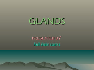 GLANDS
Presented by
 Aadil shabir soomro
 