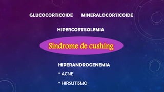GLUCOCORTICOIDE

MINERALOCORTICOIDE

HIPERCORTISOLEMIA

Sindrome de cushing
HIPERANDROGENEMIA
* ACNE
* HIRSUTISMO

 