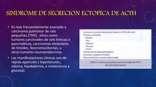 SINDROME DE SECRECION ECTOPICA DE ACTH
• Es mas frecuentemente asociado a
carcinoma pulmonar de cels
pequeñas (75%) , otros como
tumores carcinoides de cels timicas o
pancreáticas, carcinomas medulares
de tiroides, feocromocitomas, u
otros tumores neuroendocrinos.
• Las manifestaciones clínicas son de
rápida aparición ( hipertensión,
edema, hipokalemia, e intolerancia a
glucosa).

 