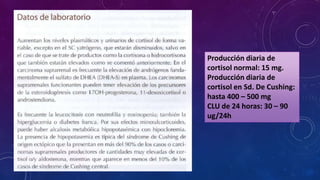 Producción diaria de
cortisol normal: 15 mg.
Producción diaria de
cortisol en Sd. De Cushing:
hasta 400 – 500 mg
CLU de 24 horas: 30 – 90
ug/24h

 