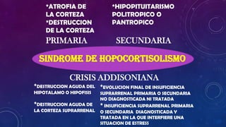 *ATROFIA DE
LA CORTEZA
*DESTRUCCION
DE LA CORTEZA

PRIMARIA

*HIPOPITUITARISMO
POLITROPICO O
PANTROPICO

SECUNDARIA

Sindrome de HOPOCORTISOLISMO
CRISIS ADDISONIANA
*DESTRUCCION AGUDA DEL *EVOLUCION FINAL DE INSUFICIENCIA
HIPOTALAMO O HIPOFISIS

*DESTRUCCION AGUDA DE
LA CORTEZA SUPRARRENAL

SUPRARRENAL PRIMARIA O SECUNDARIA
NO DIAGNOSTICADA NI TRATADA
* INSUFICIENCIA SUPRARRENAL PRIMARIA
O SECUNDARIA DIAGNOSTICADA Y
TRATADA EN LA QUE INTERFIERE UNA
SITUACION DE ESTRESS

 