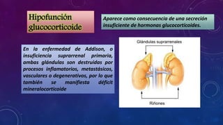 Hipofunción
glucocorticoide

Aparece como consecuencia de una secreción
insuficiente de hormonas glucocorticoides.

En la enfermedad de Addison, o
insuficiencia suprarrenal primaria,
ambas glándulas son destruidas por
procesos inflamatorios, metastásicos,
vasculares o degenerativos, por lo que
también
se
manifiesta
déficit
mineralocorticoide

 