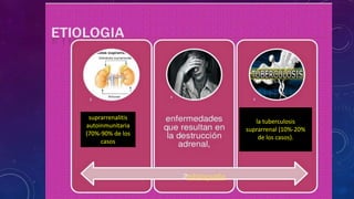suprarrenalitis
autoinmunitaria
(70%-90% de los
casos

la tuberculosis
suprarrenal (10%-20%
de los casos).

 