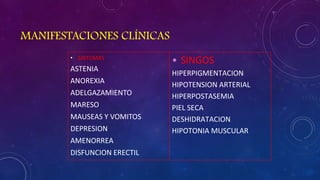 MANIFESTACIONES CLÍNICAS
• SINTOMAS

ASTENIA
ANOREXIA
ADELGAZAMIENTO
MARESO
MAUSEAS Y VOMITOS
DEPRESION
AMENORREA
DISFUNCION ERECTIL

• SINGOS
HIPERPIGMENTACION
HIPOTENSION ARTERIAL
HIPERPOSTASEMIA
PIEL SECA
DESHIDRATACION
HIPOTONIA MUSCULAR

 