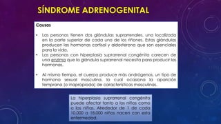 SÍNDROME ADRENOGENITAL
Causas
•

•

•

Las personas tienen dos glándulas suprarrenales, una localizada
en la parte superior de cada uno de los riñones. Estas glándulas
producen las hormonas cortisol y aldosterona que son esenciales
para la vida.
Las personas con hiperplasia suprarrenal congénita carecen de
una enzima que la glándula suprarrenal necesita para producir las
hormonas.
Al mismo tiempo, el cuerpo produce más andrógenos, un tipo de
hormona sexual masculina, lo cual ocasiona la aparición
temprana (o inapropiada) de características masculinas.
La hiperplasia suprarrenal congénita
puede afectar tanto a los niños como
a las niñas. Alrededor de 1 de cada
10,000 a 18,000 niños nacen con esta
enfermedad.

 