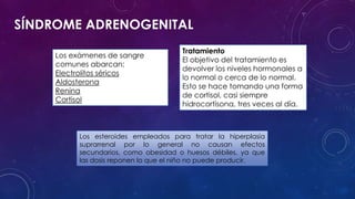 SÍNDROME ADRENOGENITAL
Los exámenes de sangre
comunes abarcan:
Electrolitos séricos
Aldosterona
Renina
Cortisol

Tratamiento
El objetivo del tratamiento es
devolver los niveles hormonales a
lo normal o cerca de lo normal.
Esto se hace tomando una forma
de cortisol, casi siempre
hidrocortisona, tres veces al día.

Los esteroides empleados para tratar la hiperplasia
suprarrenal por lo general no causan efectos
secundarios, como obesidad o huesos débiles, ya que
las dosis reponen lo que el niño no puede producir.

 