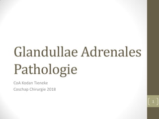Glandullae Adrenales
Pathologie
CoA Kodan Tieneke
Coschap Chirurgie 2018
1
 