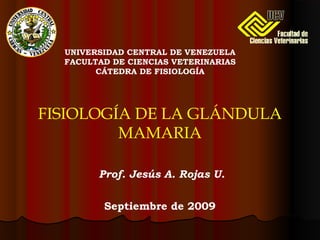 Prof. Jesús A. Rojas U.
FISIOLOGÍA DE LA GLÁNDULA
MAMARIA
UNIVERSIDAD CENTRAL DE VENEZUELA
FACULTAD DE CIENCIAS VETERINARIAS
CÁTEDRA DE FISIOLOGÍA
Septiembre de 2009
 