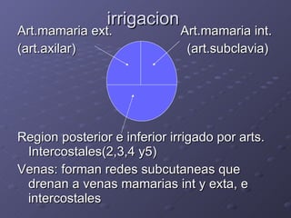 irrigacion Art.mamaria ext.  Art.mamaria int. (art.axilar)  (art.subclavia) Region posterior e inferior irrigado por arts. Intercostales(2,3,4 y5) Venas: forman redes subcutaneas que drenan a venas mamarias int y exta, e intercostales 