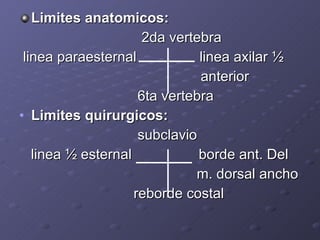 Limites anatomicos: 2da vertebra linea paraesternal  linea axilar ½ anterior 6ta vertebra Limites quirurgicos: subclavio linea ½ esternal  borde ant. Del m. dorsal ancho reborde costal 