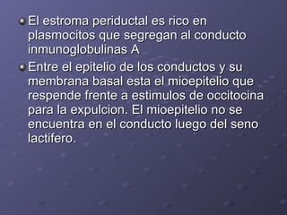 El estroma periductal es rico en plasmocitos que segregan al conducto inmunoglobulinas A Entre el epitelio de los conductos y su membrana basal esta el mioepitelio que respende frente a estimulos de occitocina para la expulcion. El mioepitelio no se encuentra en el conducto luego del seno lactifero. 