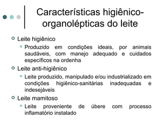 Características higiênico-
            organolépticas do leite
   Leite higiênico
     Produzido   em condições ideais, por animais
      saudáveis, com manejo adequado e cuidados
      específicos na ordenha
   Leite anti-higiênico
     Leiteproduzido, manipulado e/ou industrializado em
      condições higiênico-sanitárias inadequadas e
      indesejáveis
   Leite mamitoso
     Leite   proveniente de    úbere   com    processo
      inflamatório instalado
 