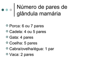 Número de pares de
     glândula mamária

 Porca: 6 ou 7 pares
 Cadela: 4 ou 5 pares

 Gata: 4 pares

 Coelha: 5 pares

 Cabra/ovelha/égua: 1 par

 Vaca: 2 pares
 